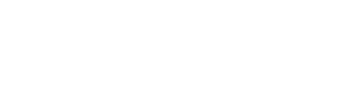 Chief Executive of Doing It My Damn Self desk plate